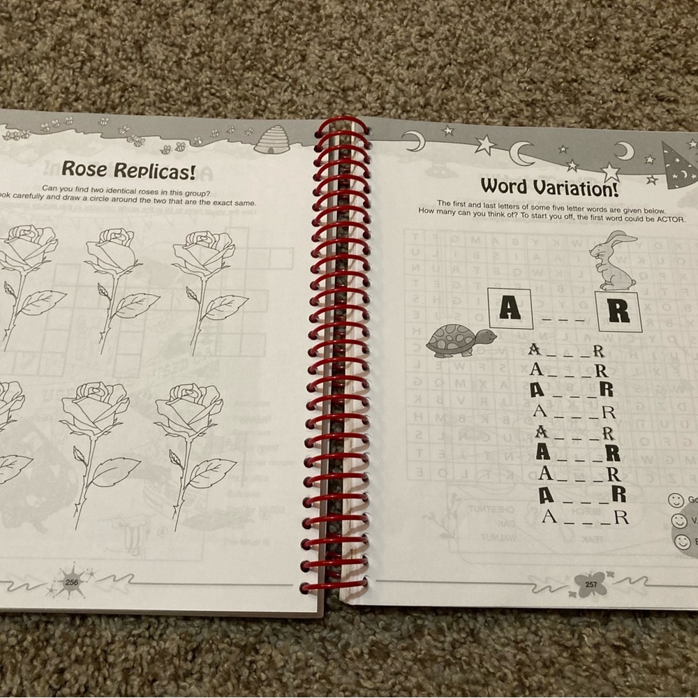 Fun Puzzle Activity Book - Picture 10 of 16